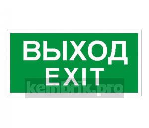 Пиктограмма ПЭУ 011 Выход/Exit (280х162) РС-I