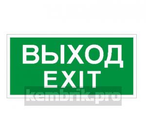 Наклейка ПЭУ 011 Выход/Exit (130х260)