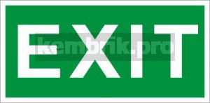 Пиктограмма ПЭУ 012 «Exit» (130х260)
